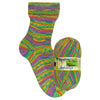 Opal Sock Holidays
