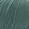 Cascade 220 sw