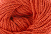 Clean Cotton by Universal