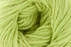 Clean Cotton by Universal