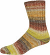 Supersocke Silk Color