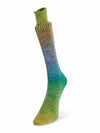 Watercolor sock