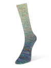 Paint Gradient Sock Laines du Nord