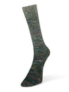 Paint Gradient Sock Laines du Nord