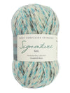 Signature 4ply Sock WYS