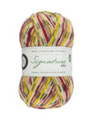 Signature 4ply Sock WYS