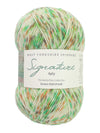 Signature 4ply Sock WYS