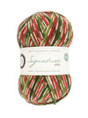 Signature 4ply Sock WYS