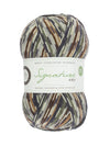 Signature 4ply Sock WYS