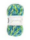 Signature 4ply Sock WYS