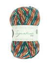 Signature 4ply Sock WYS