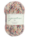 Signature 4ply Sock WYS