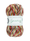 Signature 4ply Sock WYS