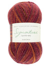 Signature 4ply Sock WYS