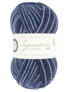 Signature 4ply Sock WYS