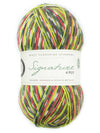 Signature 4ply Sock WYS