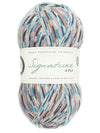 Signature 4ply Sock WYS
