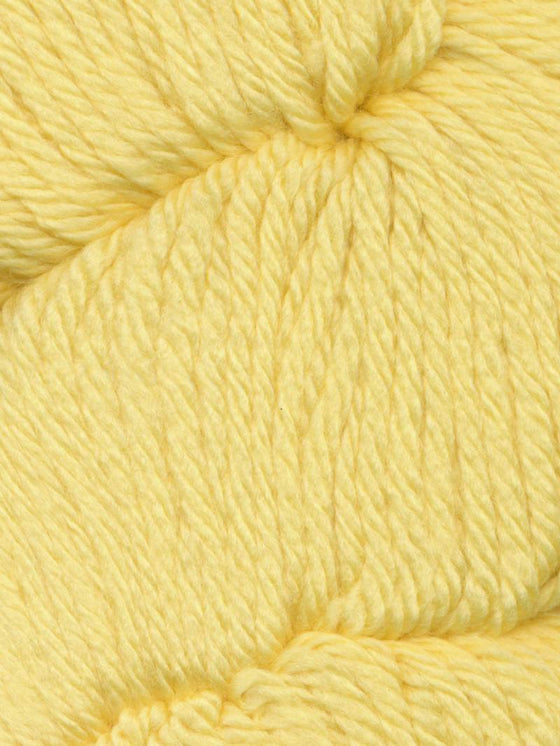 Ella Rae Chunky Merino Superwash