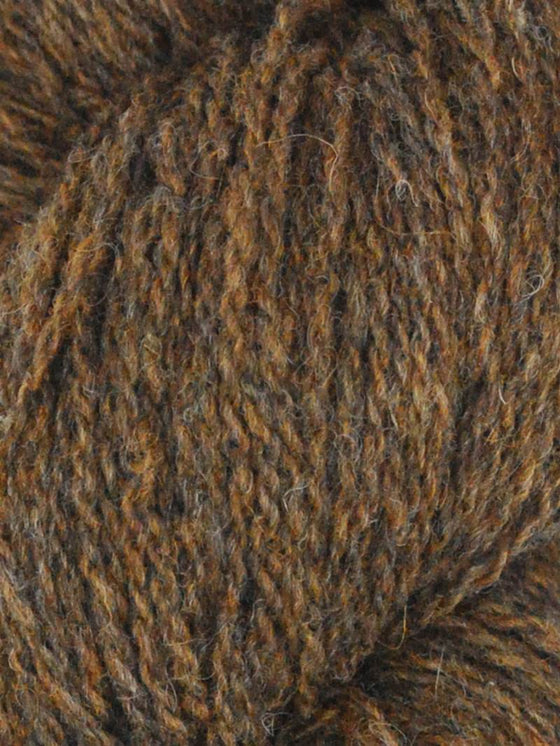 Queensland shetland lite