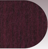 Stargazer brushed