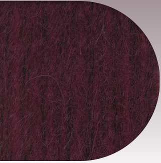 Stargazer brushed