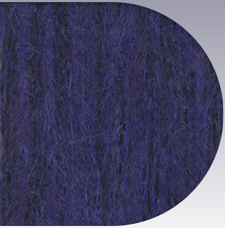 Stargazer brushed