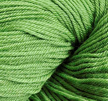 Cascade Heritage Silk