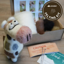  Woolbuddy nf kit