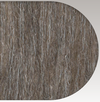 Stargazer brushed