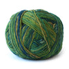 Wunderkleckse sock yarn